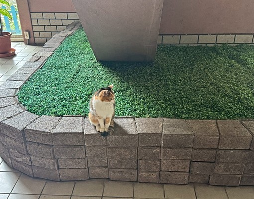 近捷運秀朗橋站2分鐘~裝潢景觀套房⭕大家の致霖⭕ - Image 7