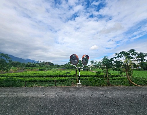 慈濟附近雙車庫別墅禁寵禁神明 - Image 2