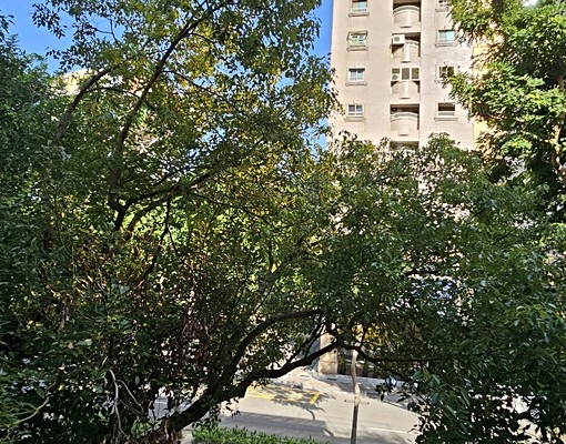 文化中心高師大附近超大明亮雅房可租補 - Image 12