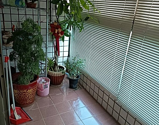 🎀高樓層🎀三房含管🎀可租補🎀匯康社宅 - Image 11