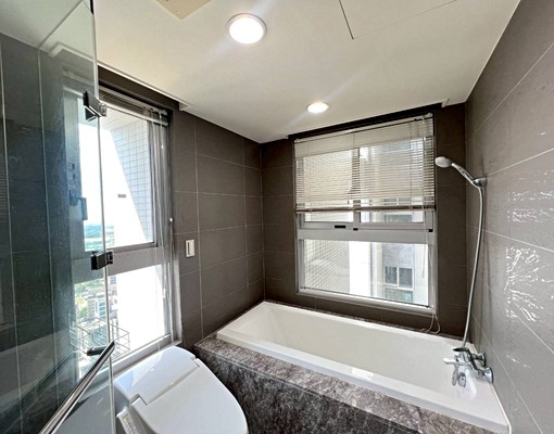 晴空樹高樓景觀三房車 - Image 8