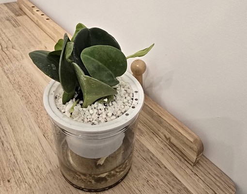 桃園大有區全新電梯套房獨洗獨曬 - Image 5