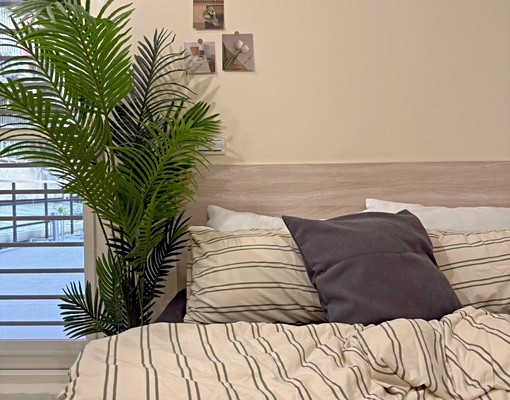 中央大學|可補助+可戶籍+可貓+2房大套房+獨洗獨陽 - Image 3