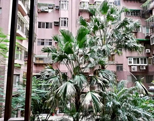 ❤️新店安德街優質裝潢2房❤️ - Image 11