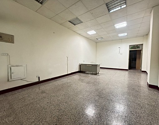 燕巢義大醫院大學😍可貓咪可租補 - Image 1