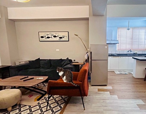 【專】花蓮【前站雅緻２房裝潢美】華廈 - 591租屋網 - Image 7