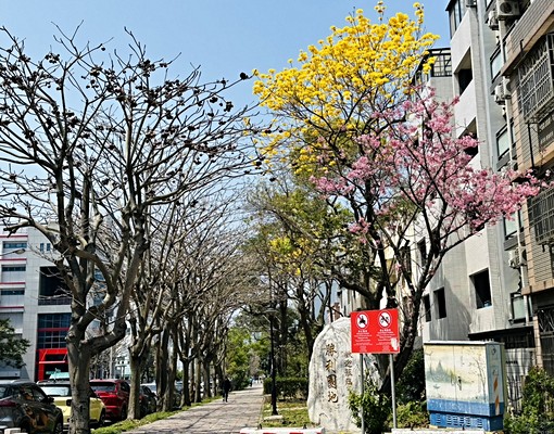 小蝸牛-可貓-單層單戶-安靜-近台元竹北 - Image 15