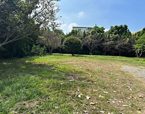 中正西路獨棟歐式大農舍 - Image 12