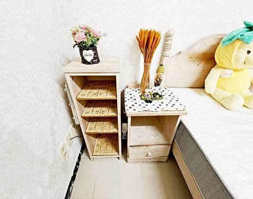 近崑科大鄉村風套房/安靜貓可/租4500元 - Image 7