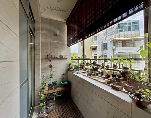 可租補⭐免服務費⭐興隆公園三樓⭐ - Image 7