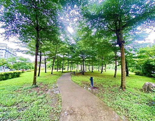 南港重陽*向陽綠地裝潢採光宅*平面車位*寵 - Image 6