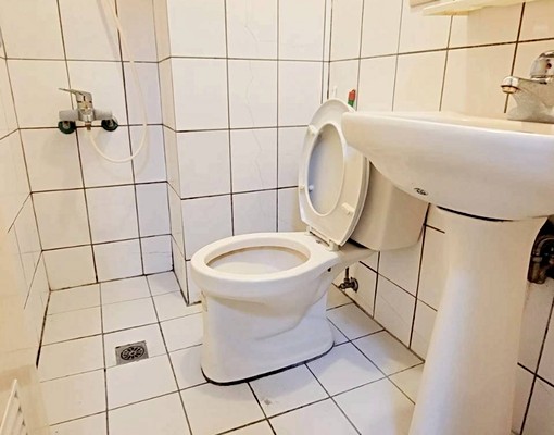 中興大學🍎電梯台水電🍎可貓🍎經濟實惠🍎可租補🍎 - Image 6