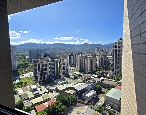 【世界花園】【海山捷運】✨全新✨高樓層✨絕佳視野✨最強採光✨ - Image 10