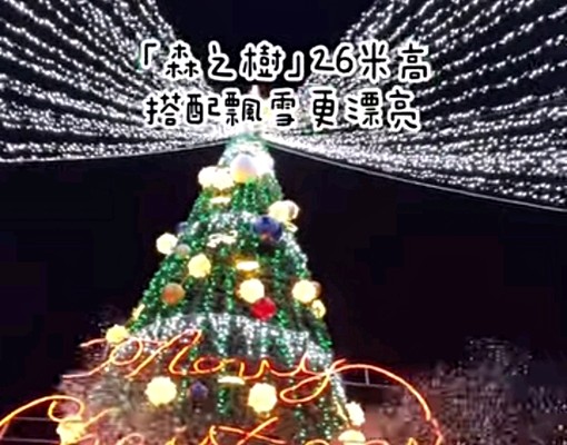 文青風靜巷透天一二樓房間大採光好不會淹水 - Image 12