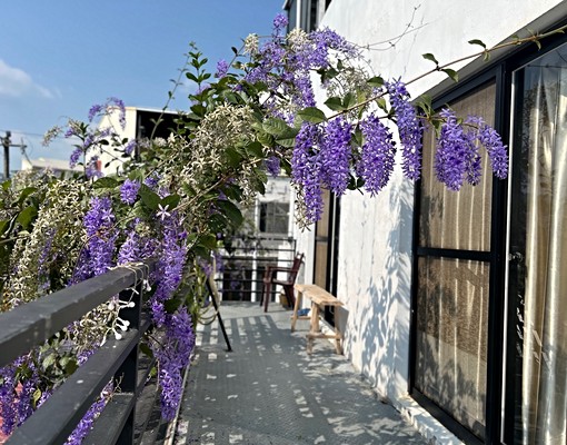 🌸民宿級享受×月租價入手讓生活不只是住宿 - Image 9