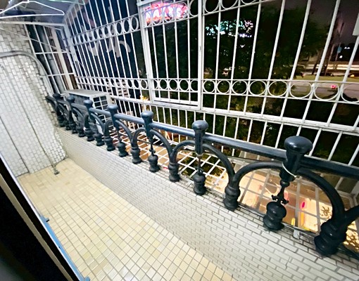 免佣）花博公園【超值2房1廳】可補助★可養寵★附傢俱 - Image 10