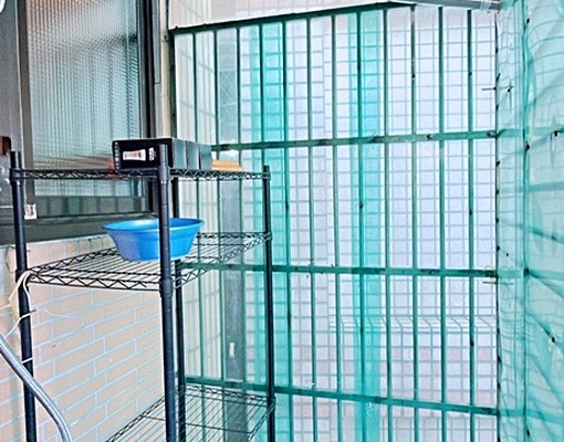 P2579永安市場❤️獨棟溫馨舒心3房 - Image 12