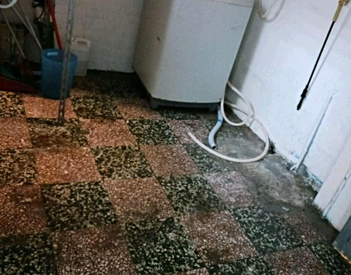 可開火不能養寵物 - Image 4