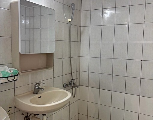 超強巨蛋商圈機能｜DormAVLドームエリア便利なマンショ - Image 23