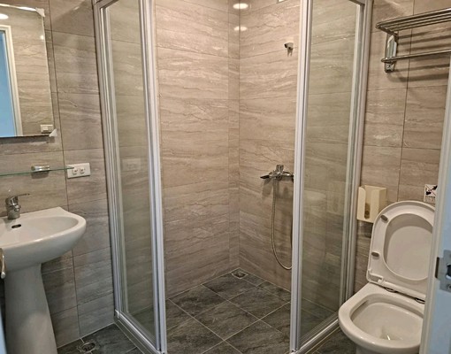 全新/桃鶯路/龜山工業區/聖保祿/獨洗 - Image 6