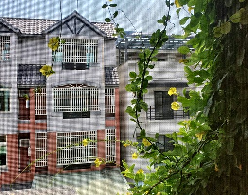 环境舒適1,闹中取靜,生活便利 - Image 5