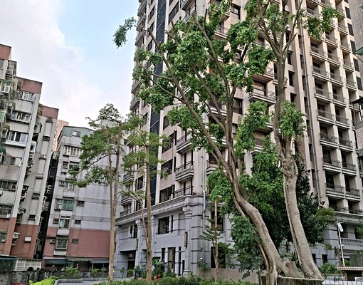 安康商圈新裝潢舒心一樓，免仲 - Image 8