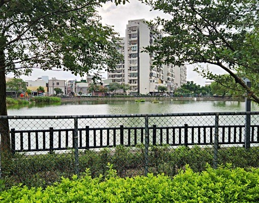 出租/平鎮龍岡/東安國小/孝親房5房/雙車位社區別墅 - Image 14