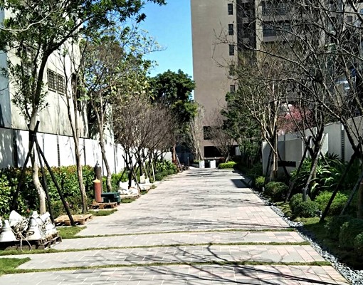 樹林｜電梯大樓可雙租補｜三面採光｜2房1衛｜ - Image 12