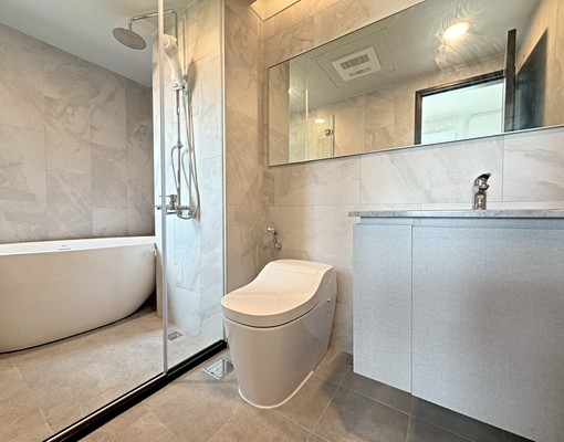 中洲向山學全新3房平車華廈 - Image 9