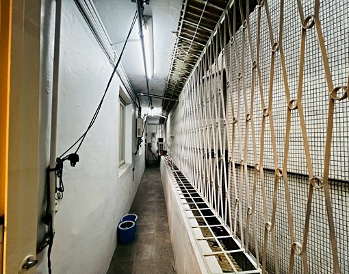 景安裝潢美三房/低樓層/可租補/家俱電可談 - Image 12