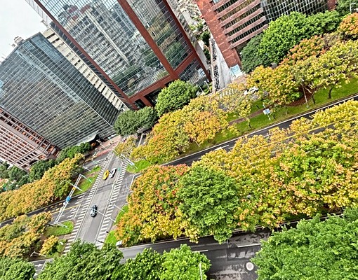 敦南林蔭高樓景觀 - Image 2