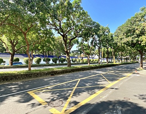 🌳中正國中綠蔭絕美三房🌳優質地段中正紀念堂東門永康 - Image 15