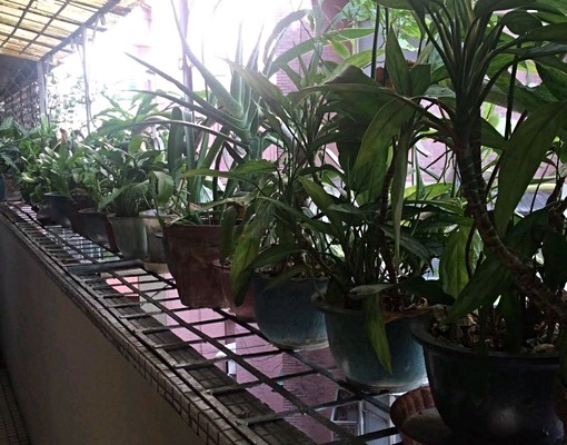 近永安市場捷運站四號公園租金含水電天然瓦斯網路第四台可租補 - Image 9