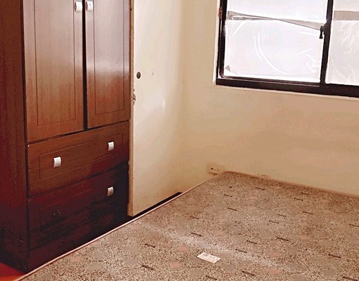 可租補可貓咪🌟近中科東海榮總國安一路玉門路 - Image 7