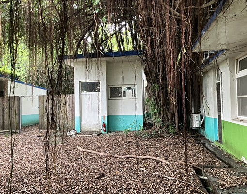 澄清湖風景區內國營事業房屋招租,土地房屋面積大好利用。 - Image 6