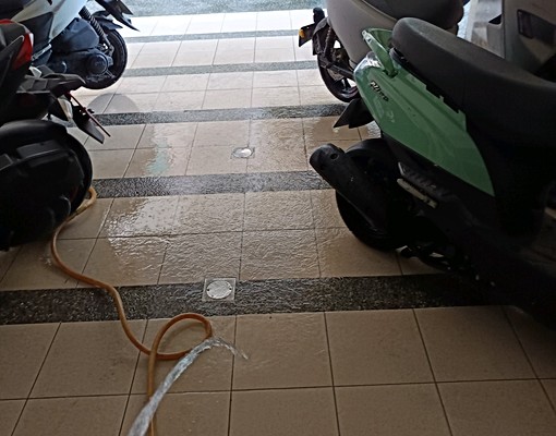 全新整理採光佳通風良好優質套房代收包裹 - Image 13