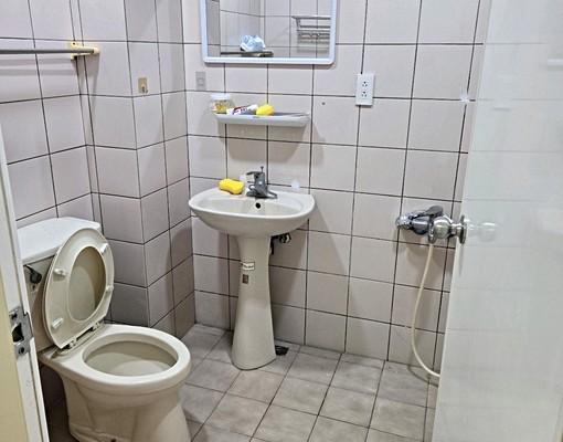 格局方正一層一戶 - Image 9