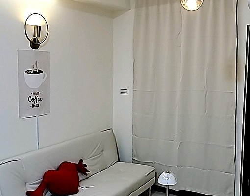 觀音成功路，長榮，全新電梯，陽台，垃圾專人處理， - Image 24