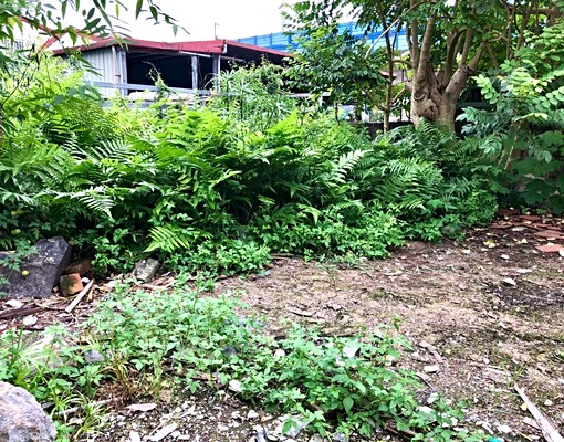 永慶羅美蓁~近壽豐車站老街3房金店住 - Image 11