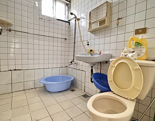 平鎮獅子林整棟透店『室內車庫』 - Image 7