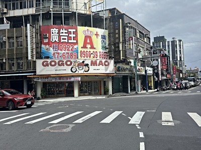 未來雙捷運交匯(黃線三蘆線與環狀線徐匯站)電梯華廈大3房