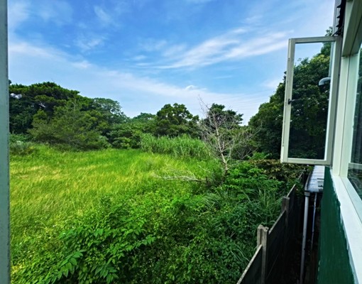 京元電子旁全新整理透天/好停車/可寵物/近竹南科/頭份市區 - Image 14