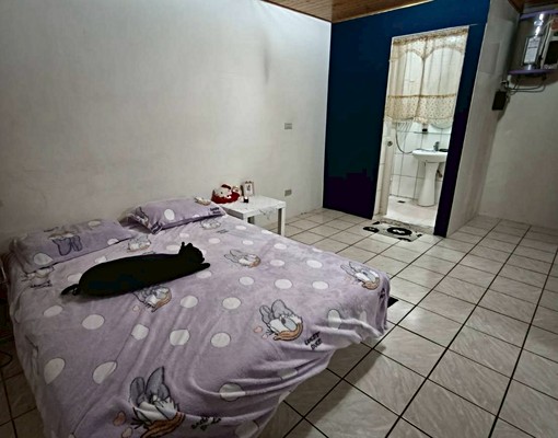 💖近台北橋站🌟獨立洗衣機🌟獨立陽台🌟流理台可炊 - Image 3