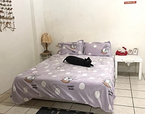 💖近台北橋站🌟獨立洗衣機🌟獨立陽台🌟流理台可炊 - Image 4