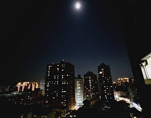 友善寵物陽明學區溫馨採光四房大露台(可養寵物) - Image 15