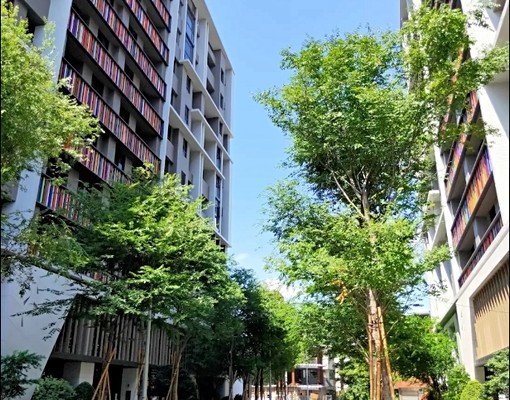 卡比秒殺💞可租補⚡大二房大里多間可選最低價💞開價≠成交價 - Image 1