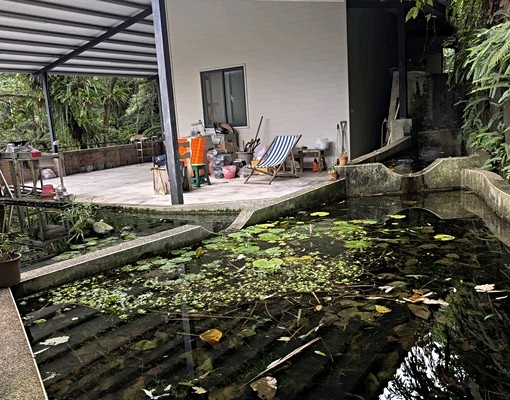 新店山區桃花源祕境 - Image 3