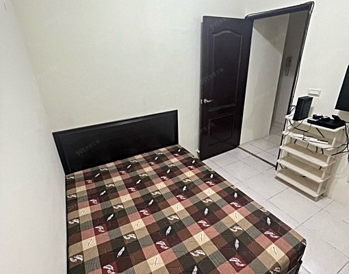 大園區環區北路新套房 - Image 4