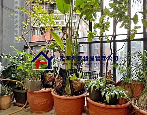 榮星花園❁行天宮❁質感裝潢❁3+1儲藏 - Image 14