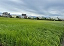 竹北市-土地，270.7坪
